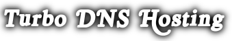 Turbo DNS Hosting